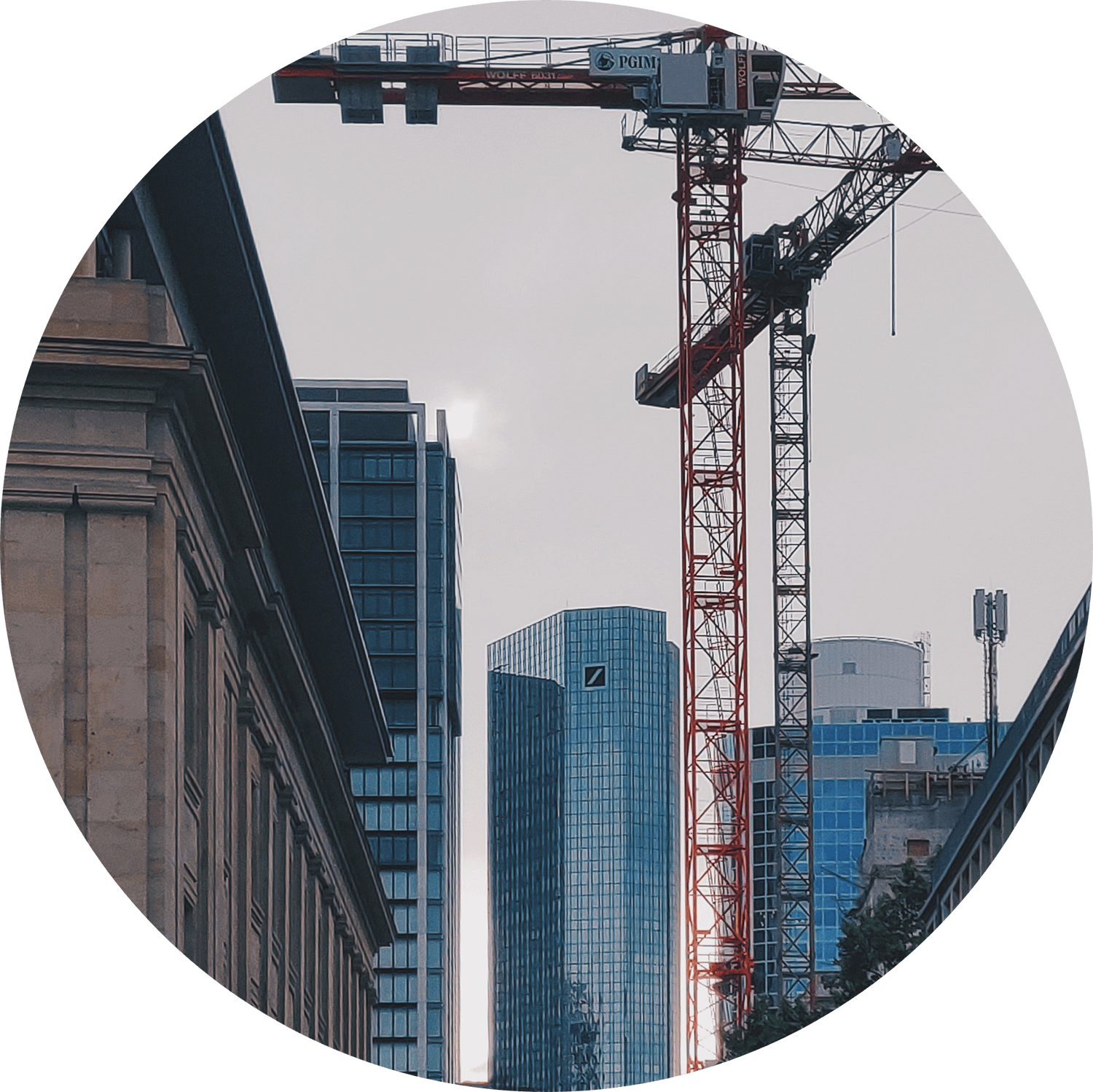 cranes in a city