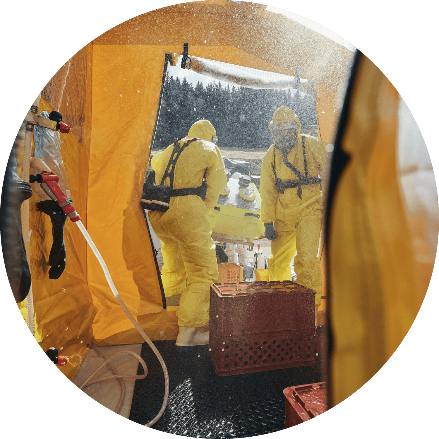 toxic chemical clean up