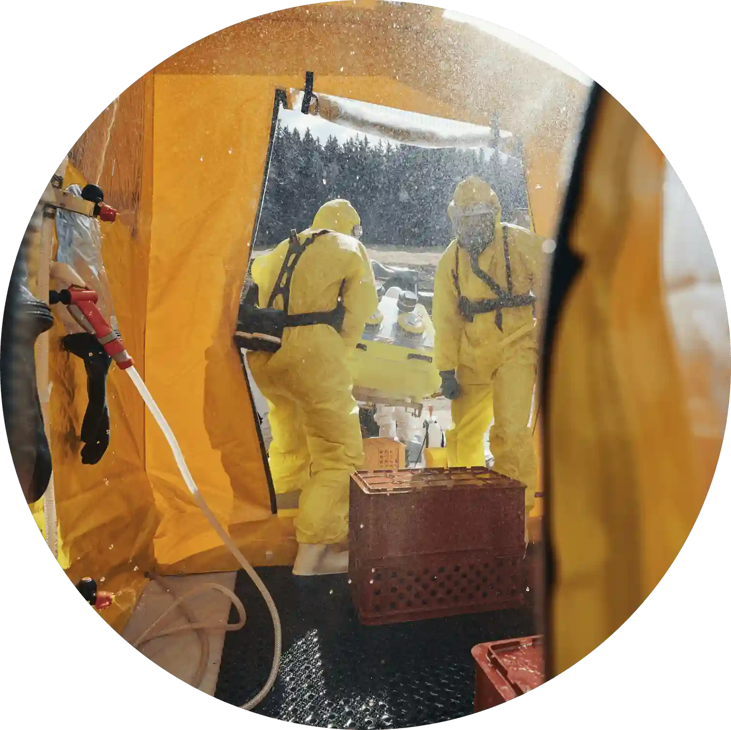 New York Toxic Exposure Lawyer